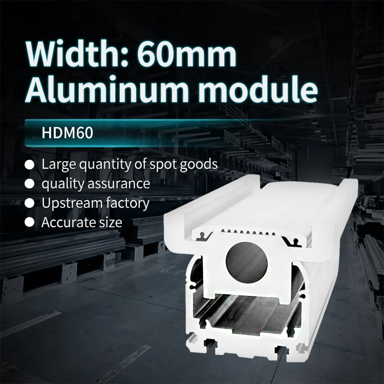 60mm Wide Module Aluminum Profile Linear Module Linear Motion Platform Slider Automated Robotic Arm Aluminum Material factory