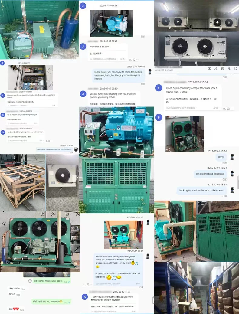 Condensing Unit, NT6220Z, 220V, R134A, 20-+5 - detail 22