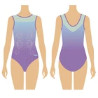 Regular Gymnastics Training Wear Ballet Leotard Extra Large Gymnastics Leotards With Shorts