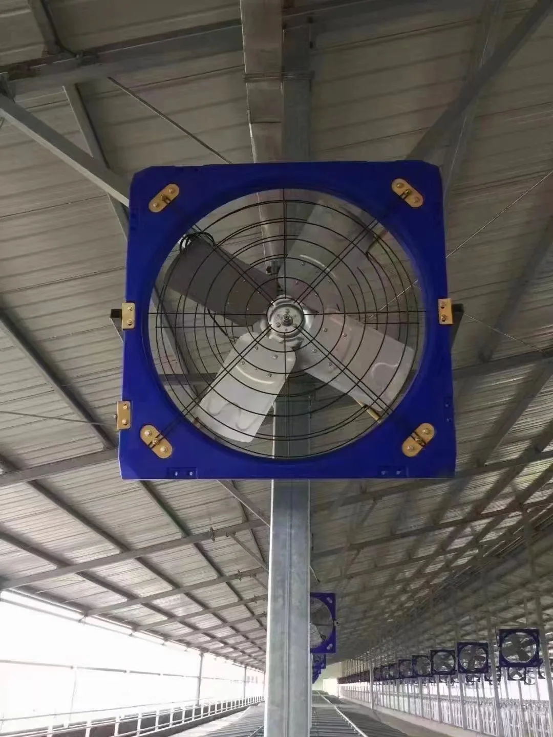 Mounted Axial Exhaust Fan, Wall, Stainless, Steel - detail 54