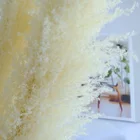 Decorative Factory Supply Hot Sale Decorative Flowers Dried Flower White Pampas Grass Decor