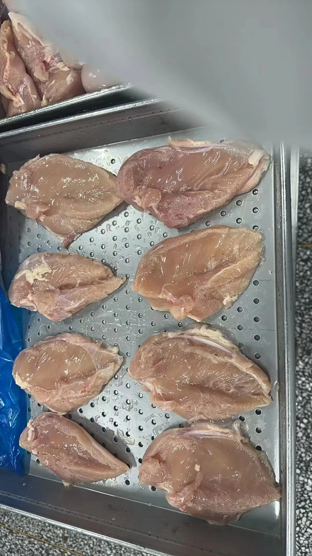 High Quality Frozen Boneless Skinless Chicken Breast Fillets Good Price Halal Compliant details