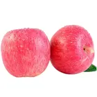 Apple New Crop Sale 10kg Fresh Apple