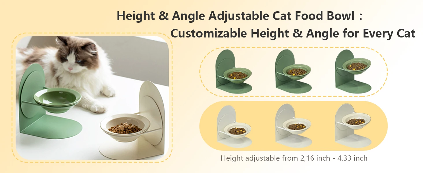 15° tilted rised cat bowl for indoor cats non-slip non-spill non-tip