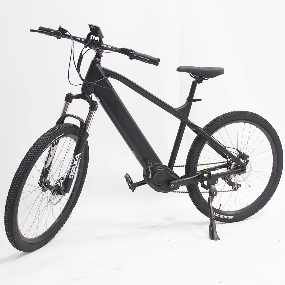 high torque electric bike