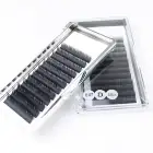 Black Eyelash Eyelash Extensions Premium Individual Lash Trays Handmade Black D Curl Silk Individual Eyelash Extension