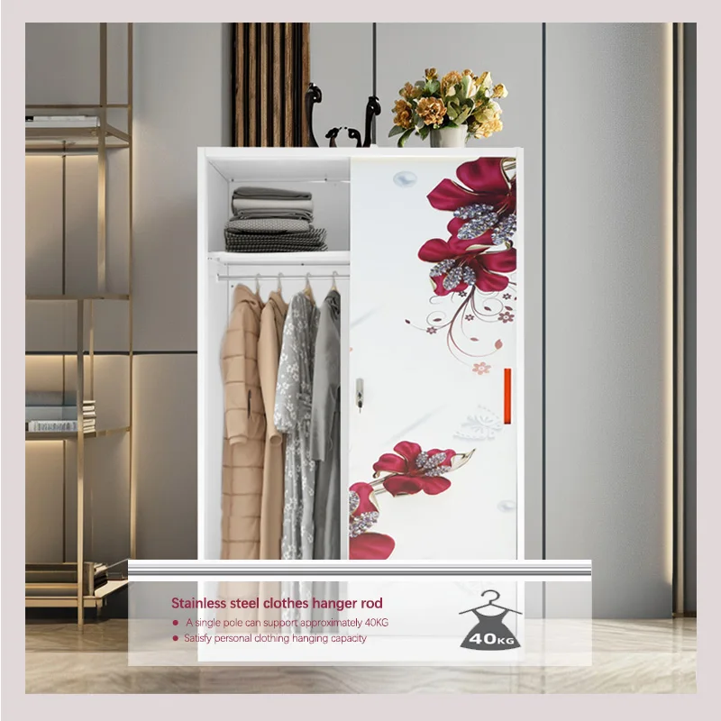 Modern 2-Door Iron Steel Metal Locker Printed Wardrobe for Home Bedroom Bathroom School Office Gym for Hotel Furniture