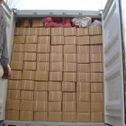 Roofing Nails Roofing Nail Umbrella Head Roofing Nails/Corrugated Nails Galvanized Twisted Shank High Quality