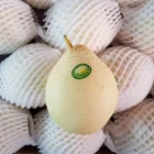 Pears Pear Fresh Pears Chinese Ya Pear