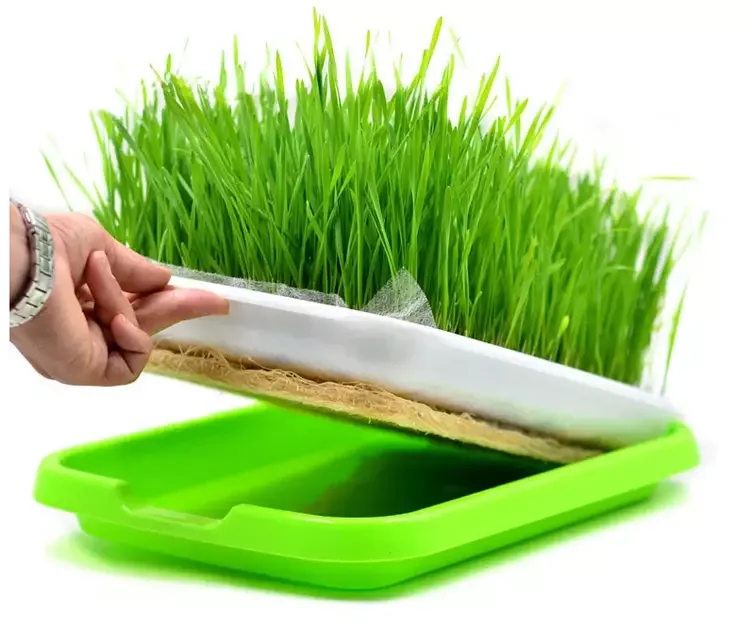 Seed Germination Tray BPA Free Nursery Tray for Seedling Planting Great for Garden Home Office Homend Seed Sprouter Tray with Lid 3 