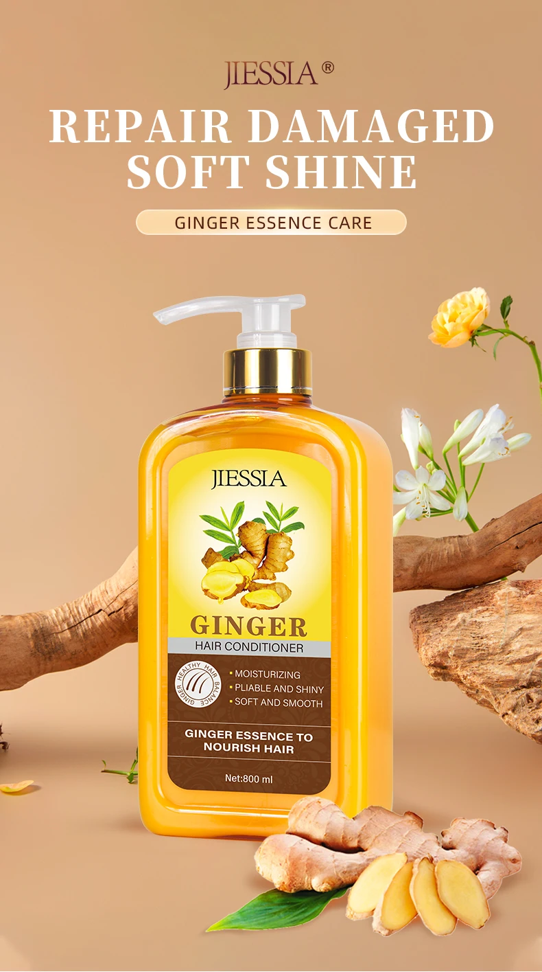 广州哪里有生姜批发