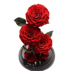 Fresh Flowers Preserved Flowers Beauty And The Beast Preserved Eternal Fresh Beautiful Flowers Red Roses In Glass Dome