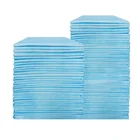 Training Pads Absorbent Indoor Toilet 40x50cm/ 60x60cm /45x60cm/60x90cm