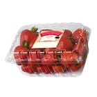 Vegetable Tray Fruit Tray Most Popular Oem Customize Clear Blister Clamshell Packaging Vegetable Fruit Packaging Tray