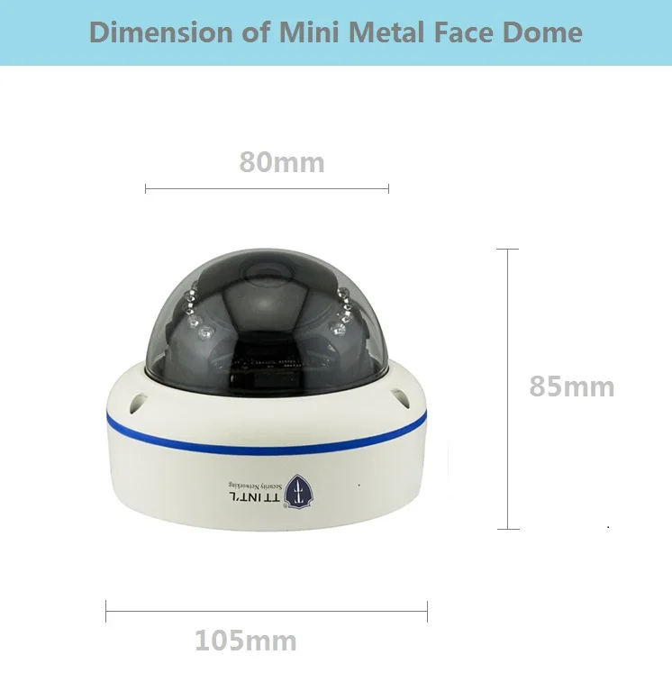 Mini IP Face Capture Dome 