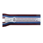 Zip New Design 8# Vislon Zip Plastic Women Zip With Color Tape O/E