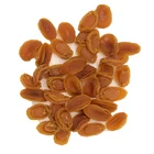Shell Abalone Abalone Abalone Price Without Shell Dried Abalone Meat Dried Abalone Price