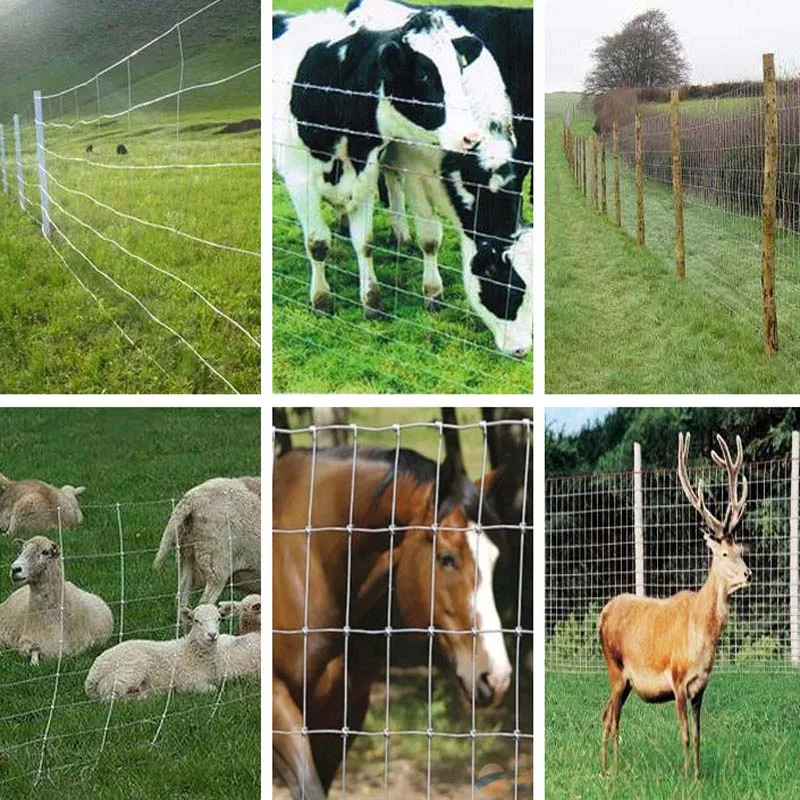 Sample Free Easy Assembled Livestock Fence 1.5M 1.8M Galvanized Wire Mesh fencing Cattle sheep Horse goat field fence for farms