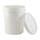 Plastic Bucket China Manufacturer Cheap 20L Size Plastic Buckets With Lid