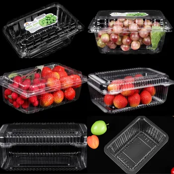 Disposable Food fruit containers Transparent PET plastic Blister Box Clamshell litchi grape Box Packaging with Lid