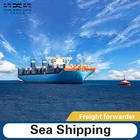 Fee All Types Container Vendors Low Shipment Fee Logistics Agent In China Freight Forwarder