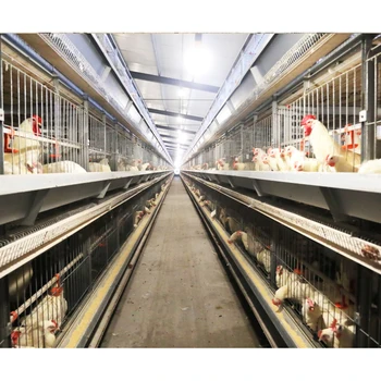 Animal Husbandry Equipment Breeder Farm Chicken Hatching Cage Breeder Battery Breeder Cage