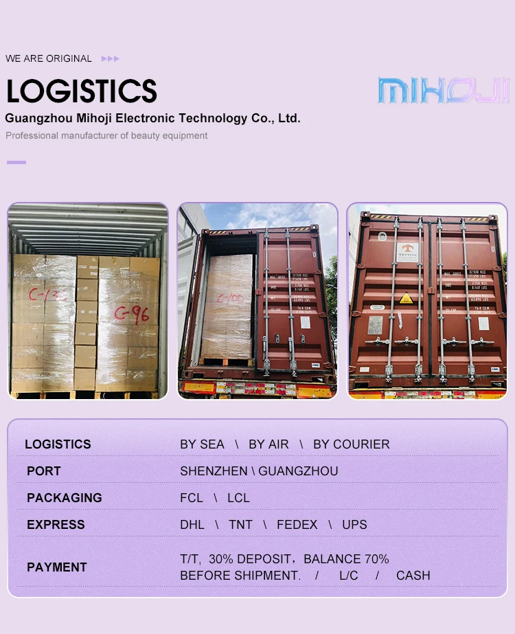 Professional CO2 Oxygen Facial Machine for Home Use with 2 Years Warranty and OEM/ODM Service