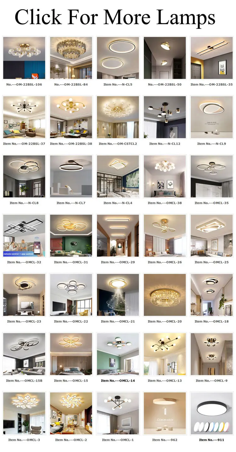 Ceiling-Light---2023_02