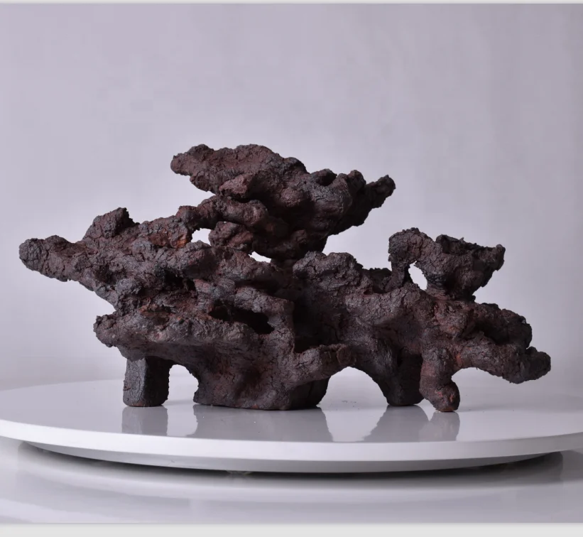 complete marine aquarium