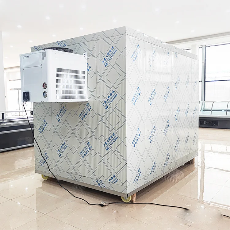 Freezing Chamber Froide Freezer, 220v, > 1000W - detail 10
