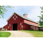 Horse Low Cost Steel Structure Horse Barn Designs