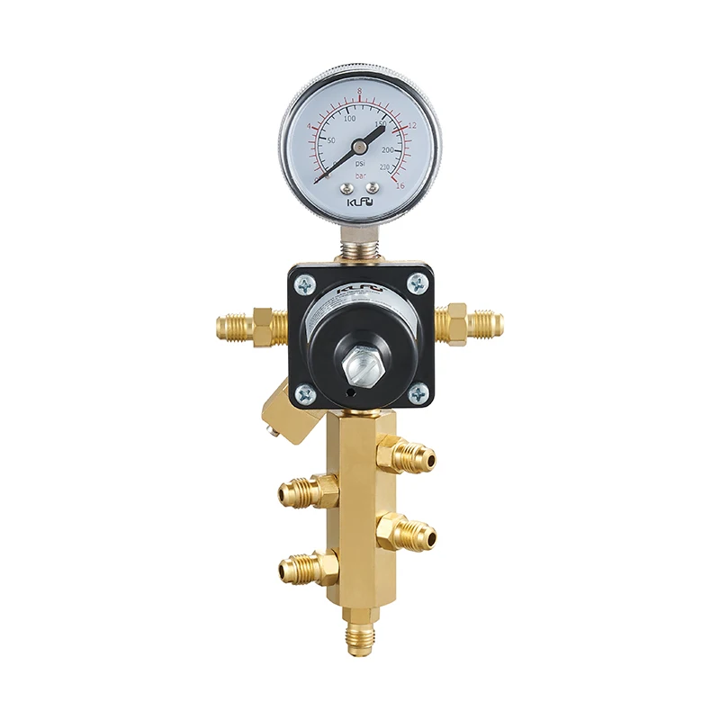 product single gauge gas regulator factory price wholesale co2 pressure regulator for soda cola machine-2