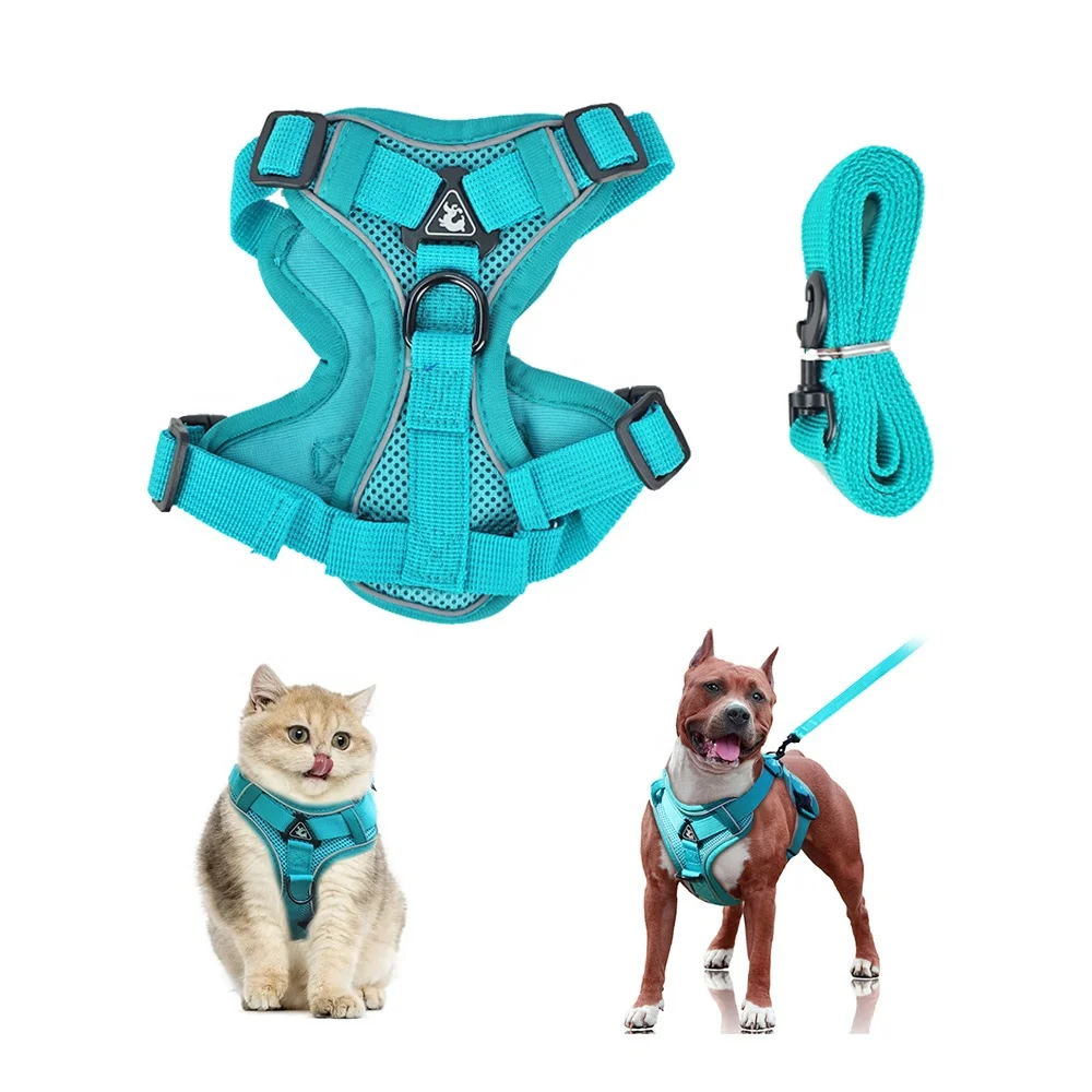 Are Cat And Dog Harnesses The Same