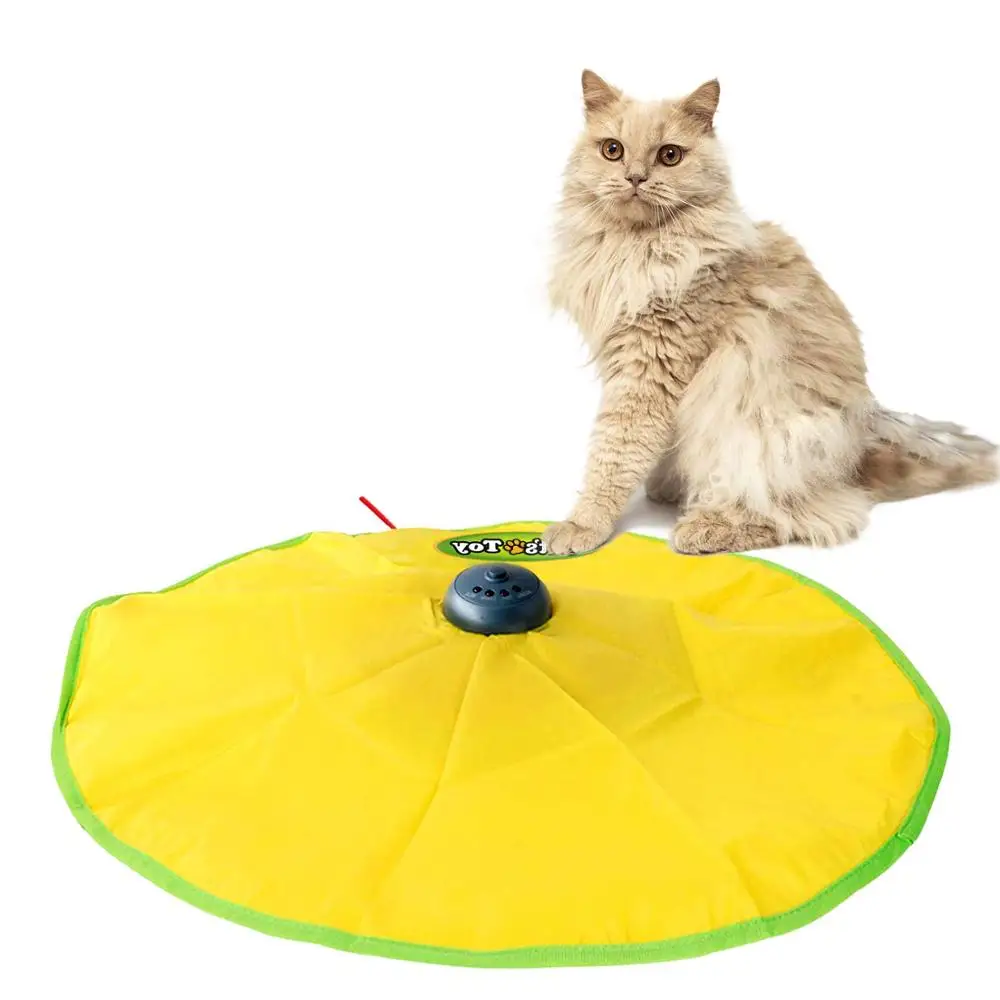 motorized wand cat toy