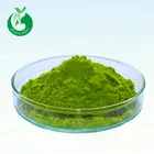 Grade Tea Food Grade China Food Grade Wholesale Green Tea Powder