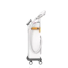 Ipl Hair Removal Rf Ipl Stationary Style DPL Ipl Fast Hair Removal RF Pico Laser Multifunctional Machine