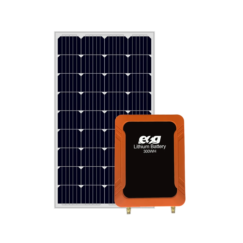 ESG Portable Complete Price Design Great Solar Panel Lithium Battery 300W AC DC Electricity Generating Solar Energy System