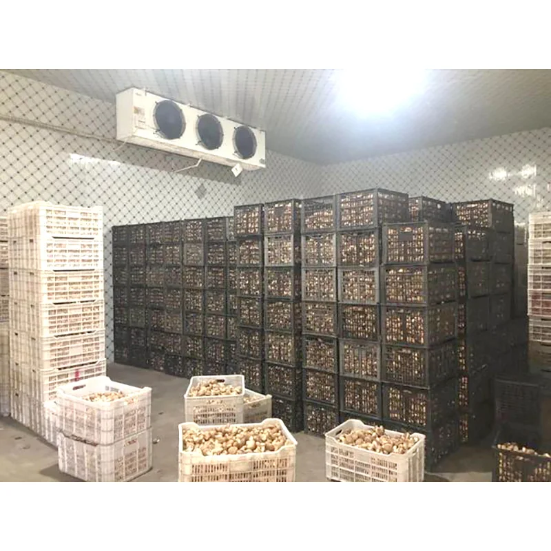 Blast Freezer, 220V/380V, 220V 50hz - detail 20
