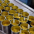 Corn Manufacturer Of Canned Sweet Corn Easy Open Good Taste Sweet Kernel Corn In Can