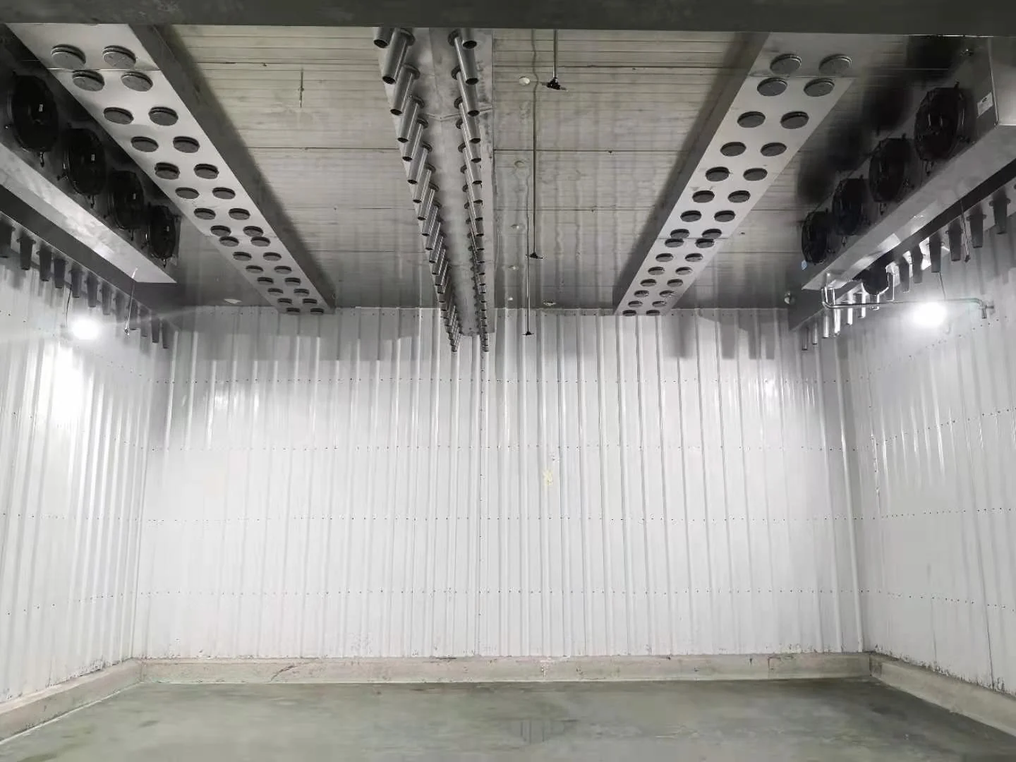 Thawing Equipment, 220V, 500 to 3000 kg - detail 26