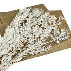 Flower 2021 Hot Sale Small Leaf Preserved Ruscus For DIY Flower Arrangement