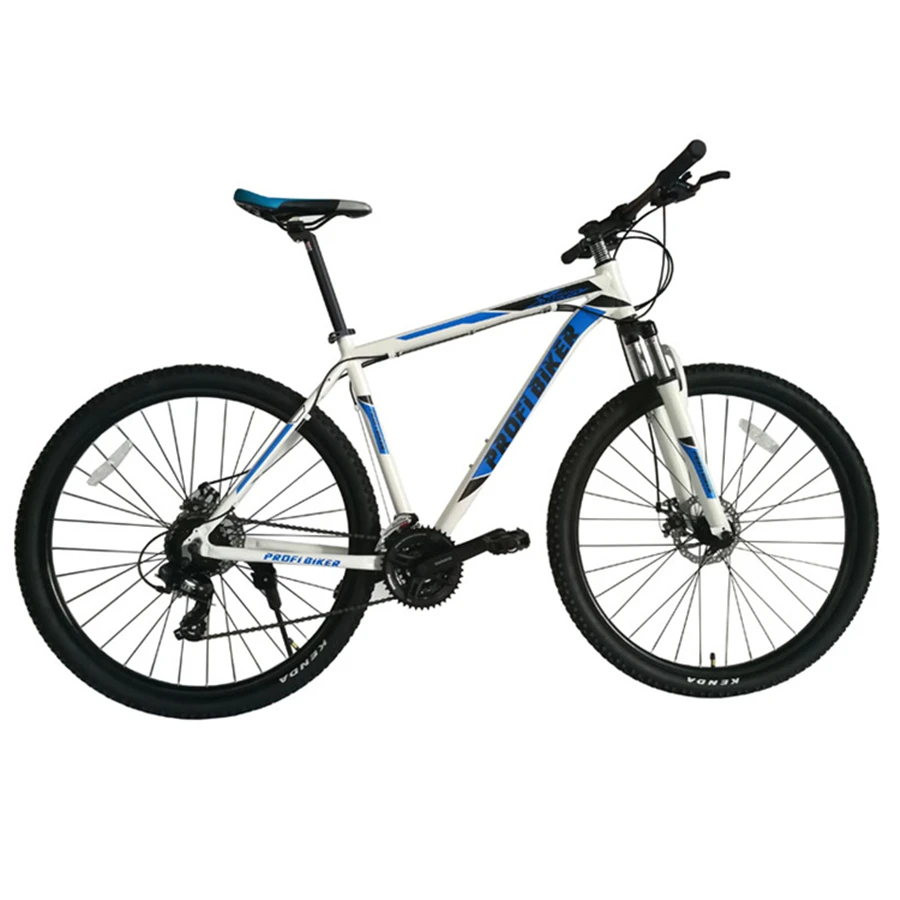 mountainbike bike 29