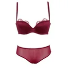 Trim Panty Trim Push Up Bras Fashion Satin Underwear Sets Sexy Women Bra And Panty Set With Lace