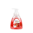 Liquid Hand Soap Liquid Liquid Hand Soap Liquid Hand Soap Customize Nice Scent 300ml Foam Handwash Liquid Soap
