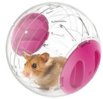 10. Transparent hamster exercise ball mini trot plastic toy.