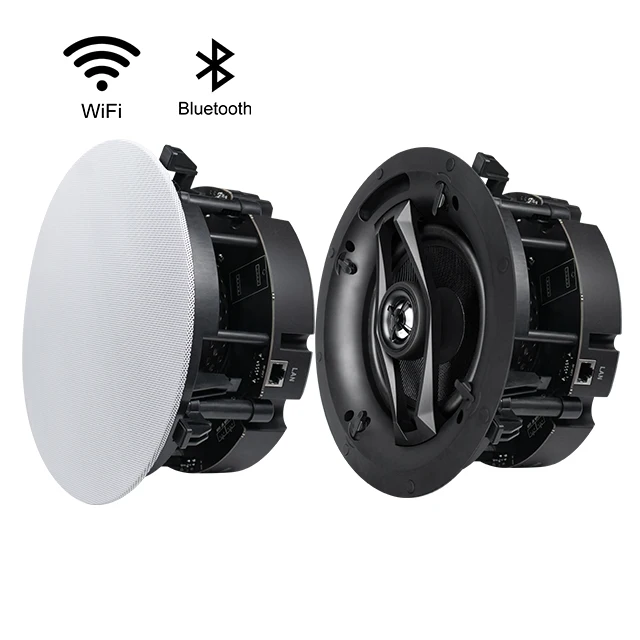 Channel In Wall Wifi Ceiling Speaker 