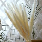 Floral YN Hi Flower Factory Hot Sell Natural Dried Flower Small Pampas Grass For DIY Floral Bouquets