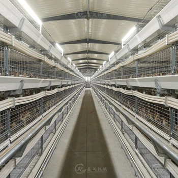 Hot Dipped Galvanized Broiler Chicken Battery Cage Hot galvanized Chicken Cage H Type 4 Tier Broiler Cage for 10000 Broiler