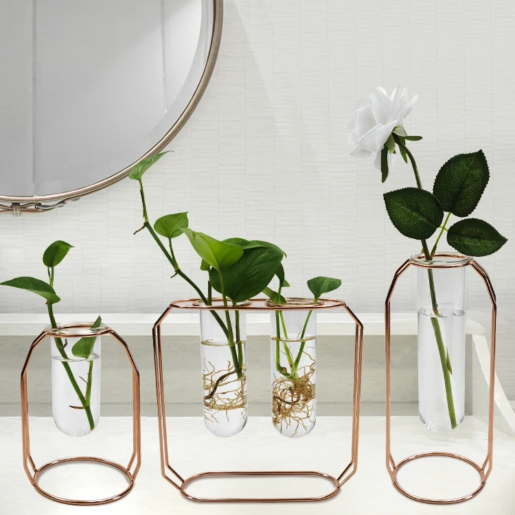 3Pcs Clear Glass Flower Pot Vases Metal Flower Hydroponic Planter Terrariums 