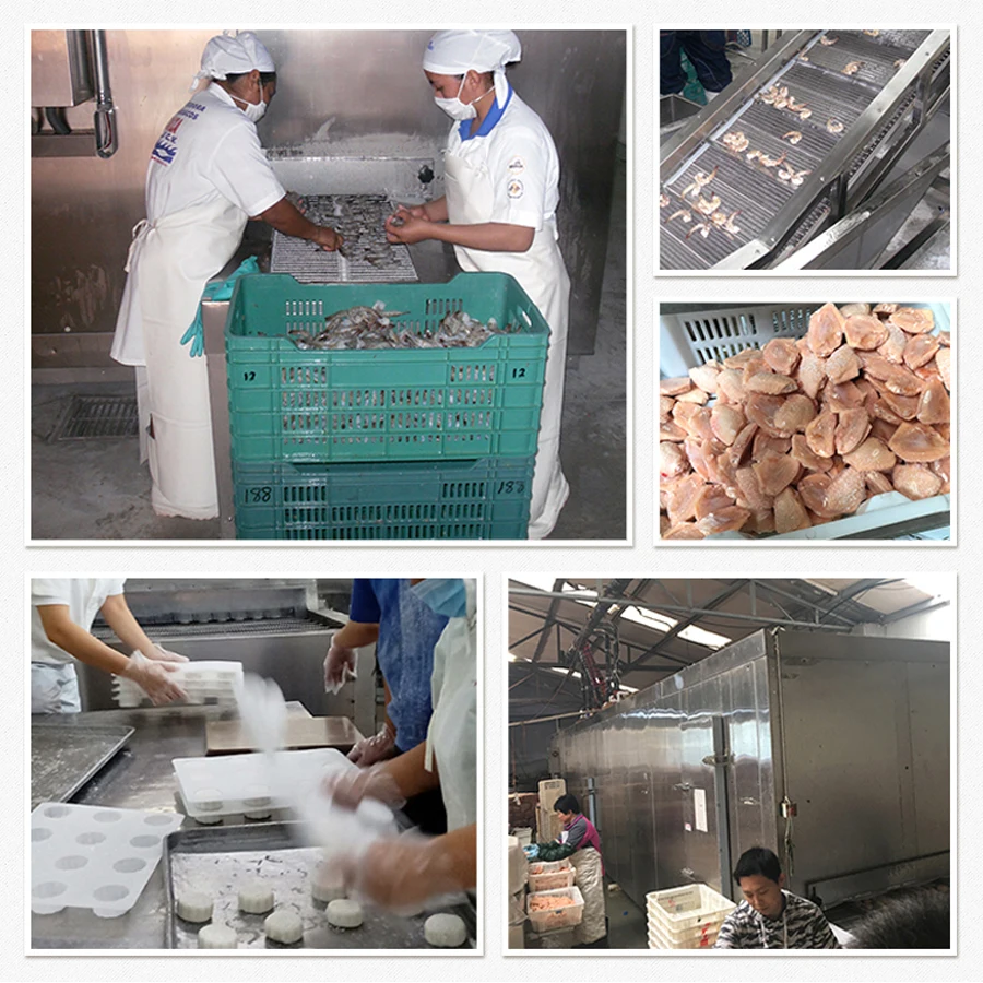 Spiral Freezer, IQF, 220 V, customization - detail 12